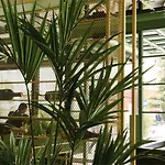 Hotel Iliria Boutique